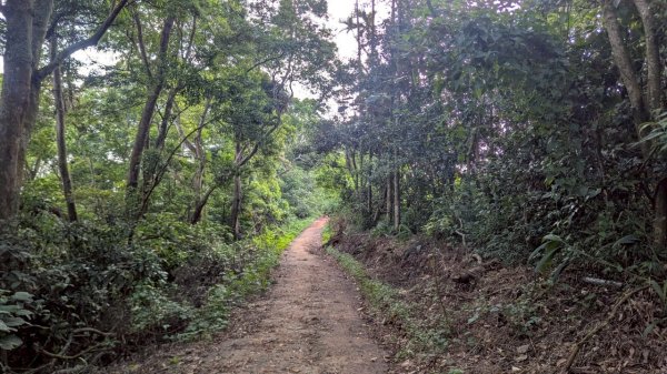 橫山步道2838248