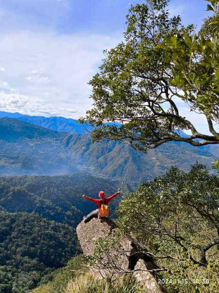 內鳥嘴山（山毛櫸、北得拉曼神木2648189