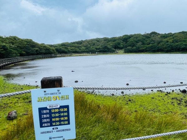 1140811 KR 漢拏山杜鵑花田避難所-紗羅岳觀景臺2860205