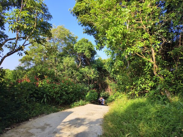 [百山百鳥尋旅-14/15] 2025_0929 劍潭山親山步道2900907