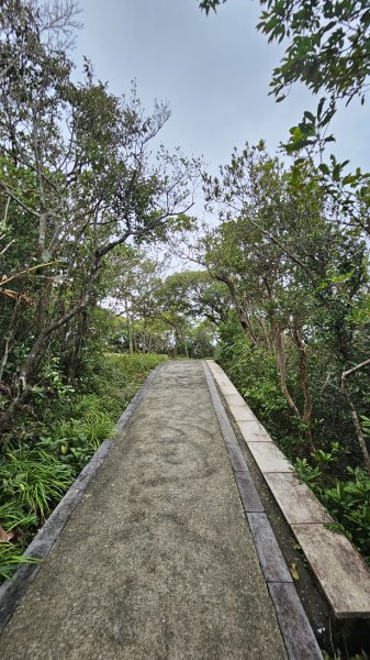 【挑一間北濱文旅，走一座基隆小百岳，吃一頓八斗子好料】解鎖第54座小百岳#003大武崙山O繞2925328