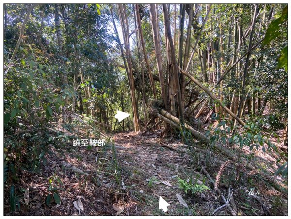 頭社水庫、大舌滿山2757558