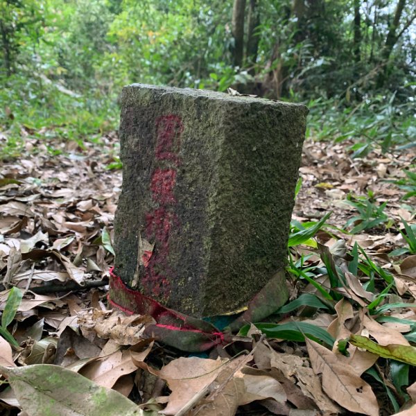 20250419屏東佳平山-虻彈山2767932