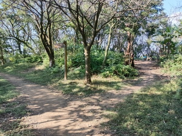 汐止區茄苳越嶺古道+上鹿窟崙山+九層坪山+四分尾山+大尖山8字走2981644