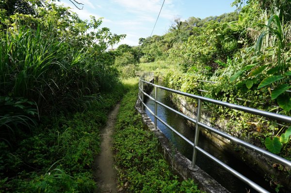 新竹 竹東三山 - 員崠子山、樹杞林山、新具庄山2528297