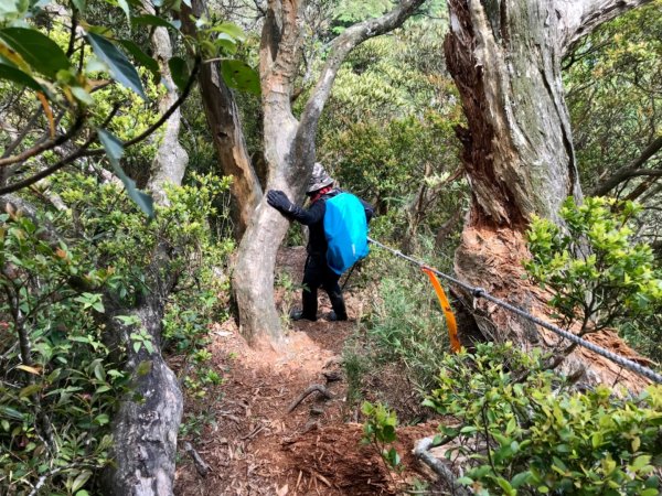 嘎色鬧走那結山1370908