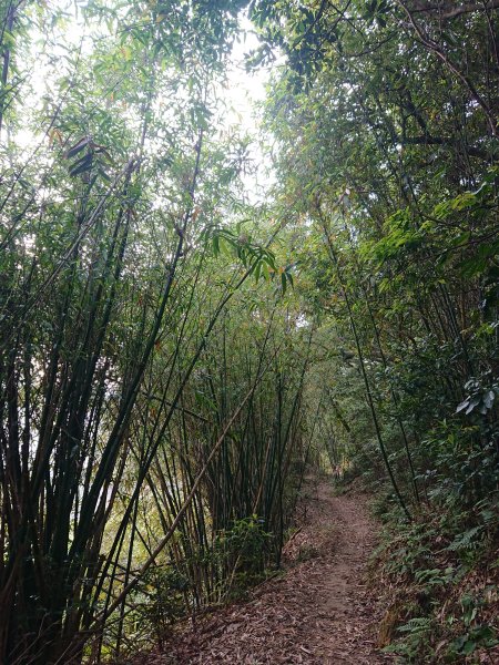 福人登山步道-光復土地公-大北坑2477050