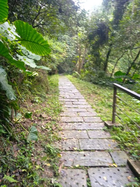 獅山古道一雨中同行1597613