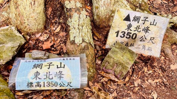 🌈1/11（日）六龜警備道~小百岳~鳴海山×網子山✨FB：熊熊趴爬走🌈2980552