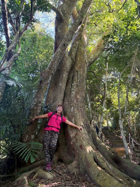 雙崎埋伏坪山歩道、鯉魚潭水庫、大峽谷2938946