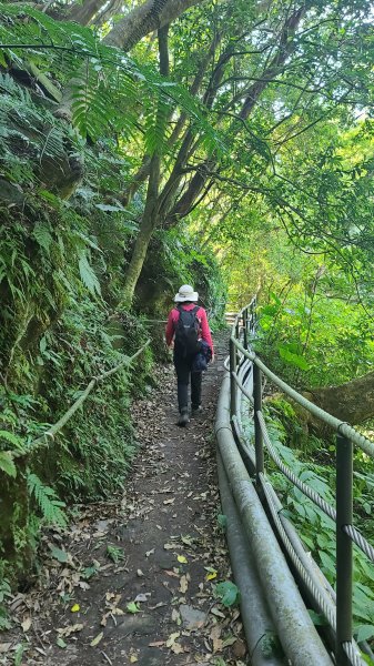 2025-0130溪和宮-大崎頭步道-鵝尾山-平溪步道-鵝尾山水田-42巷-溪山百年古圳-平菁步道2701962