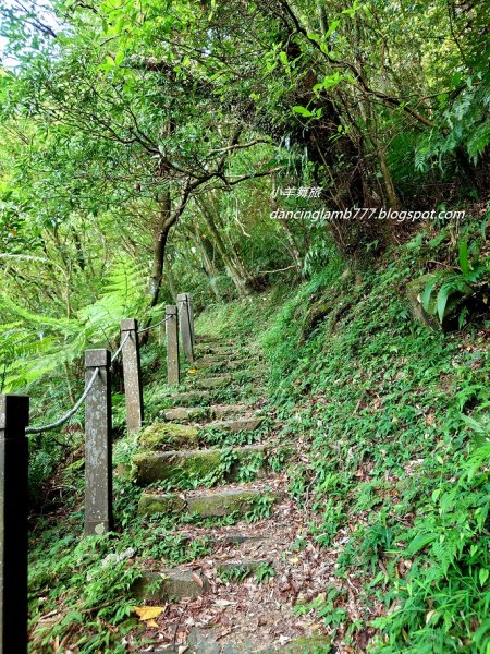 【新北】汐止大尖山步道~ 270度環景小百岳1837168