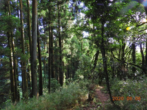 新竹 五峰 鳥嘴山、鵝公髻山986654