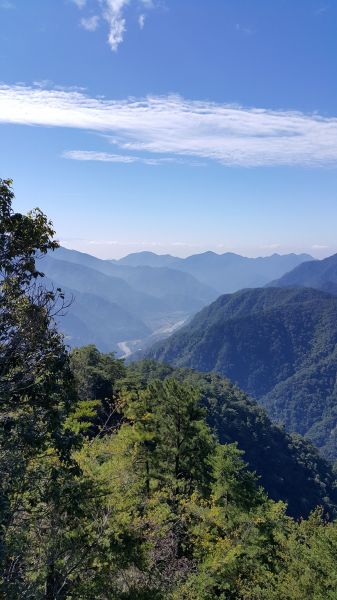 波津加山步道 2016 11 06126253