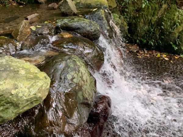 惠蓀林場渉水步道與山嵐小徑