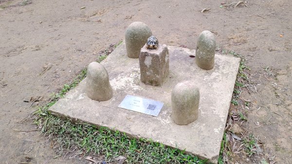 雙石縱走加碼蓬萊仙島山2997557