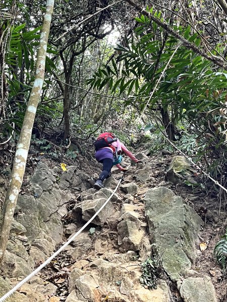 暗影山 西北稜上 南稜下 接仙女瀑布1317863