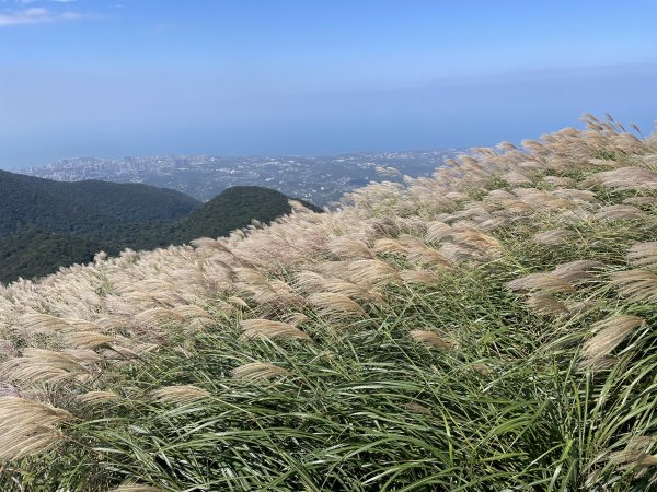 台北大縱走第二段2330402