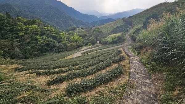 開眼崙步道，坪林老街2483057