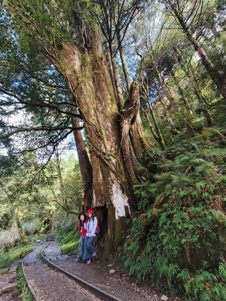 見晴懷古步道2940579