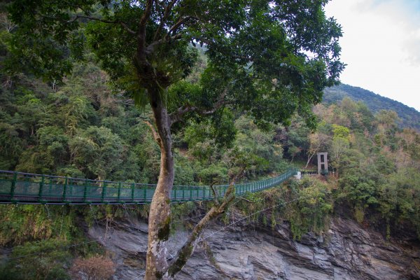 【花蓮】瓦拉米步道春遊823356