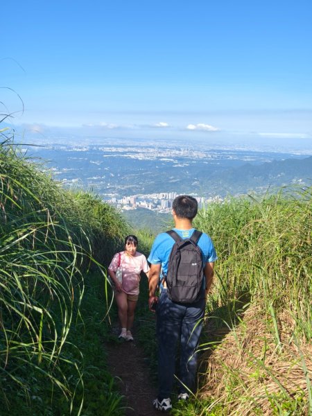 台北大縱走第二段(二子坪-小油坑)2547909