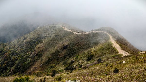 【海外健行】香港四徑 The Four Trails3031667