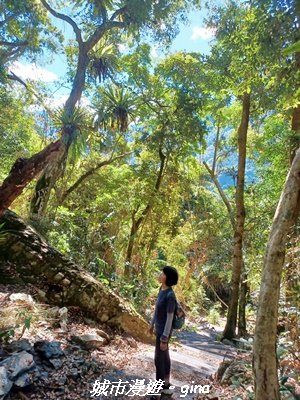 【台中和平】生態廊道。 雪山坑環線步道x巨人之手觀景點2954009