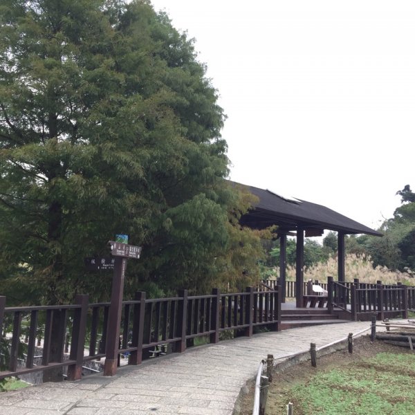 北縱七段抓了10隻博蒂742220