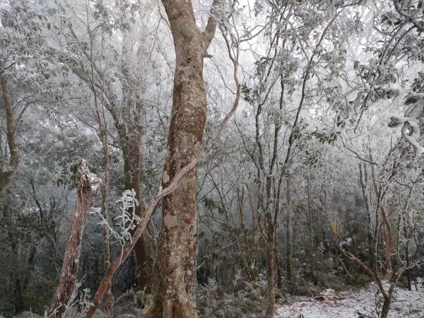 雪季北得拉曼2956390