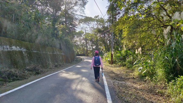 (姨婆趴趴走)第四十六集:新竹關西赤柯山及南峰、東西獅頭山、馬福山環狀縱走2685819