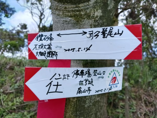 坪林區司公髻尾山+虎寮潭吊橋+粗石斛吊橋+大舌湖步道+漁光派出所2794288
