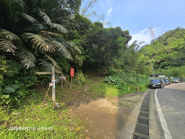 2026-04-11微笑山線：【二格山系】筆架連峰段3034540
