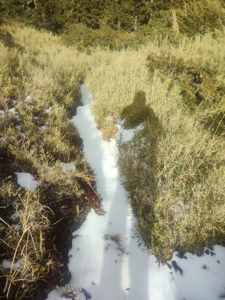 合歡山昆陽2701243