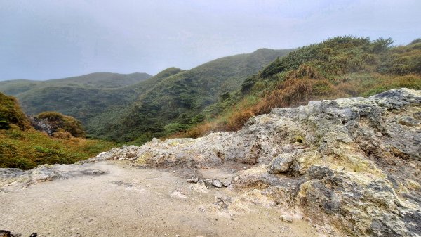 20251019 苗圃-七星山-小油坑2921128