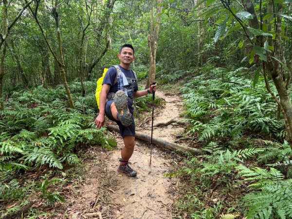 浸水營古道【因為熱門才能變得方便】3003182