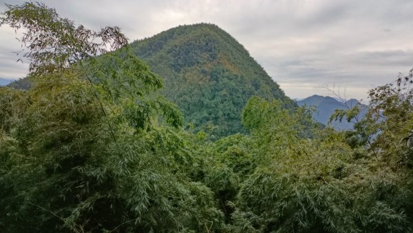 雲嘉24連峰(雲嘉24孝)一起來起笑 2021年11月12日1513457