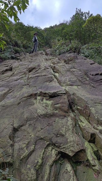 瑞芳小錐麓2714472