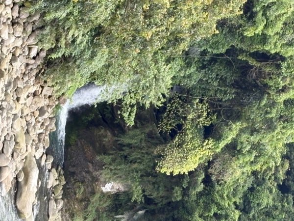 戲水（耘雲姊2786118