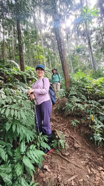 向天湖山11501252988141