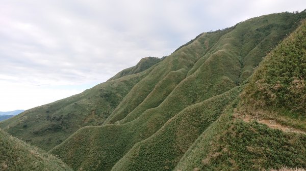 小百岳#83_ 三角崙山_初見抹茶山封面