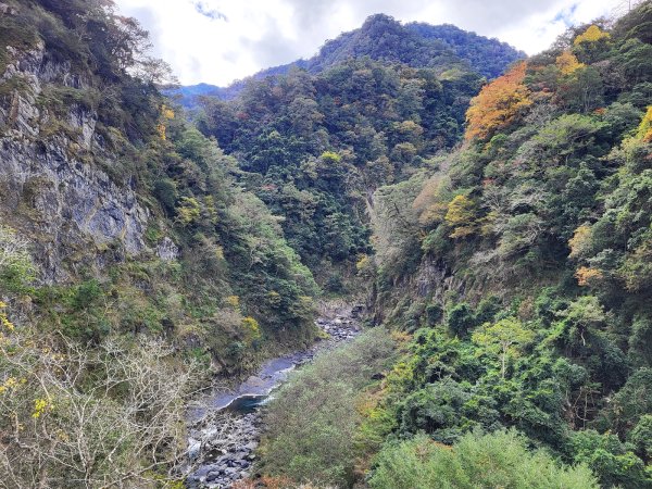 【戀戀楓紅】霞喀羅賞楓行2675611