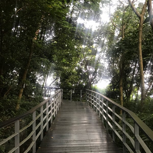 林梢步道1013601