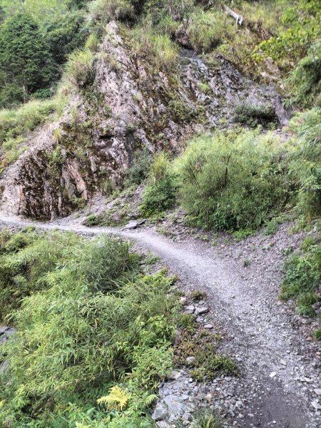 檜山巨木群步道2250312