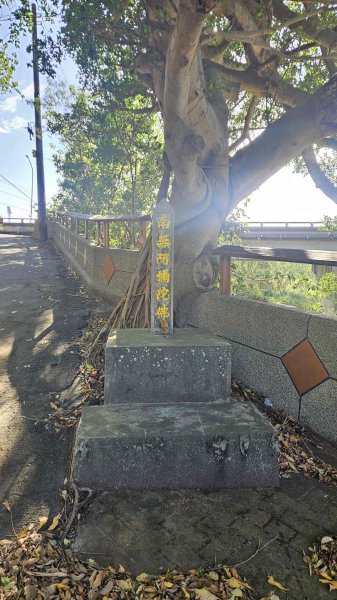 20251222龍峎頂步道-三灣火炎山-老銃櫃步道-三灣落羽松-肚兜角步道2969149