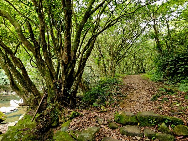 淡蘭中路第四段：威惠廟至灣潭古道登山口(崩山坑線)2882720