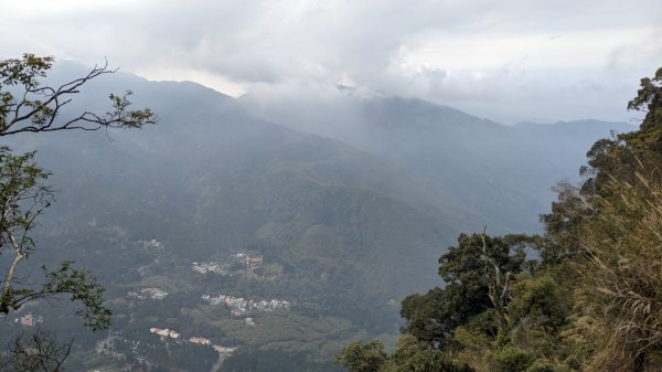 溪頭鳳凰山2021040