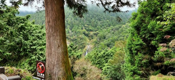 太平山森林遊樂區，檜木原始林步道，九寮溪自然步道，戈霸瀑布，開眼崙登山步道1859591