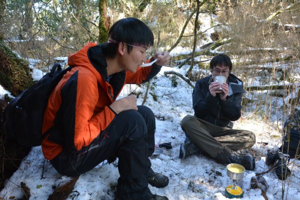 塔曼山樹洞雪景1239435