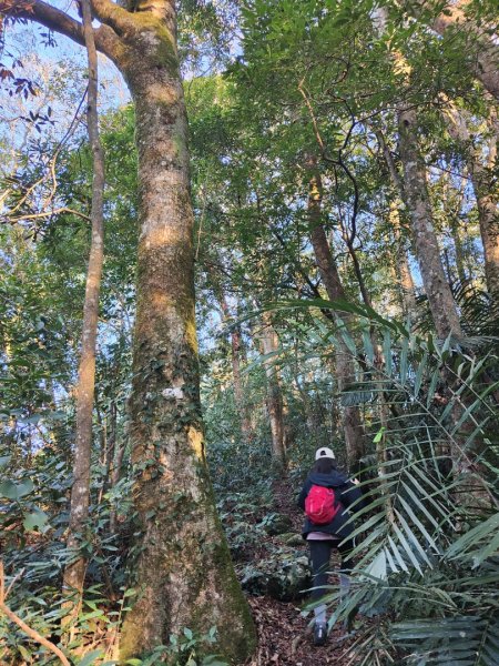 2024.02.01 凌空廊道登煤源山2843945